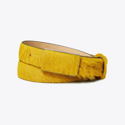 Plate Belt