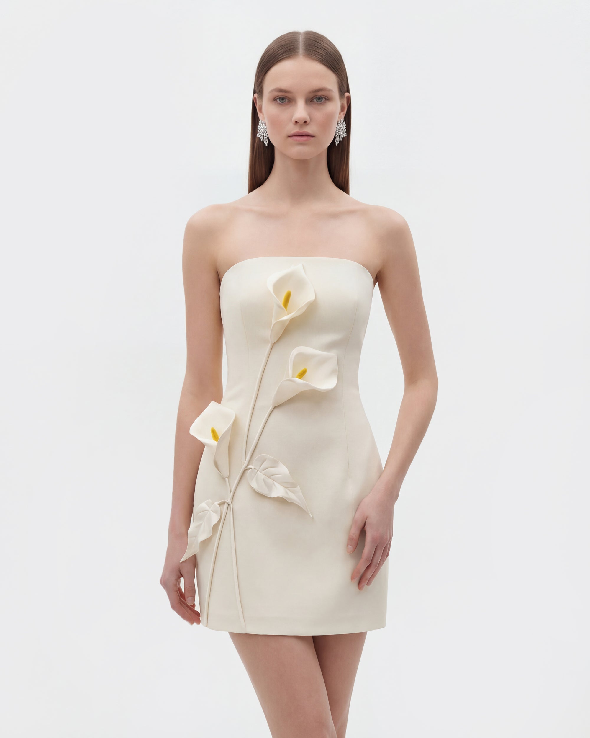 Strapless Floral Appliqué Dress - Black