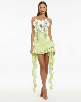 Orchid Embroidered Ruffle Hem Mini Dress - Light Green