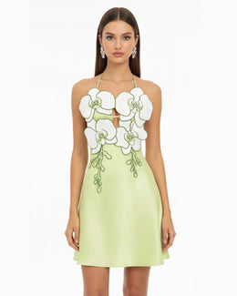 Orchid Embroidered Halter Mini Dress - Light Green