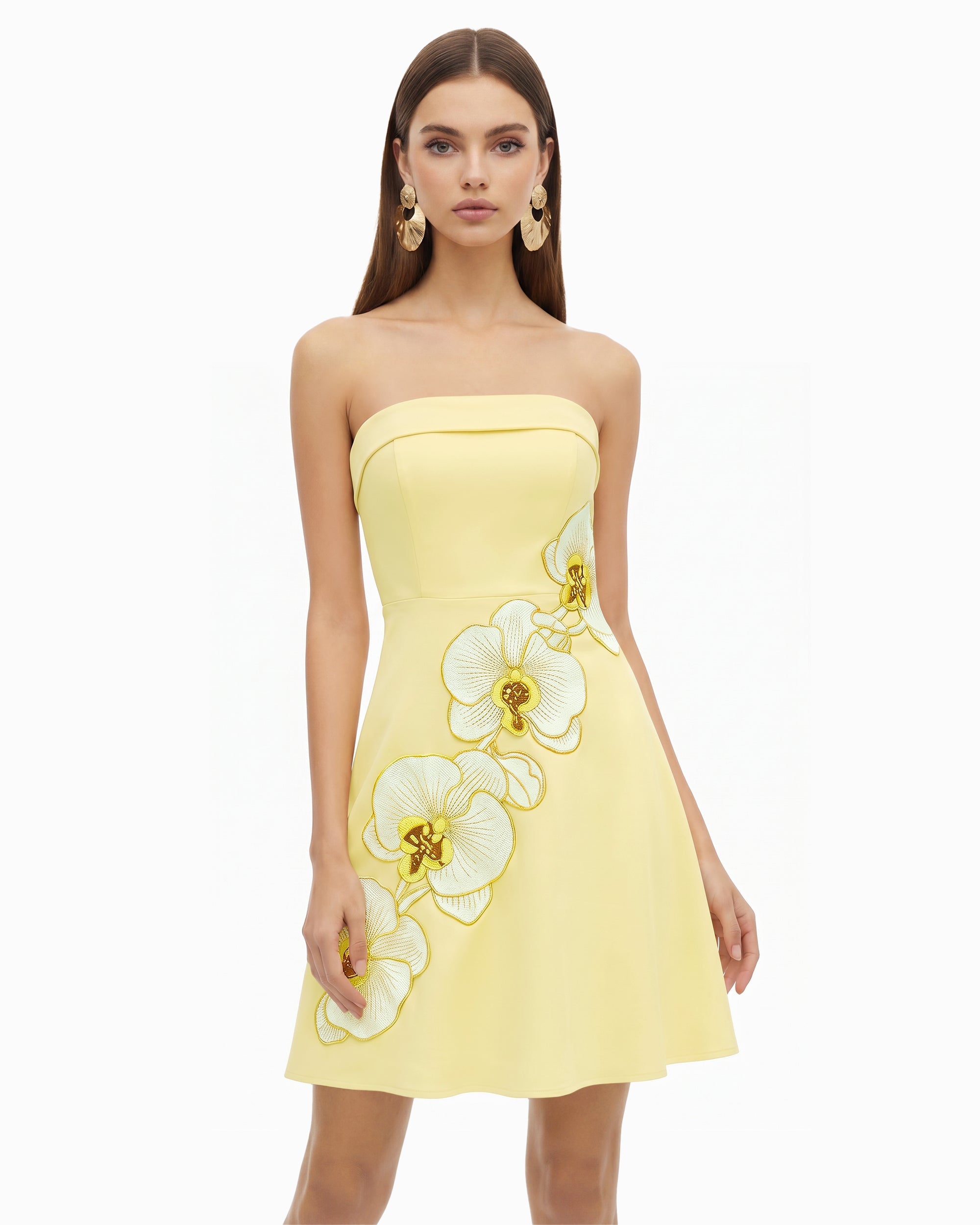 Orchid Embroidered Strapless A-Line Midi Dress - Blush Pink