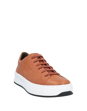 TOD'S SNEAKERS