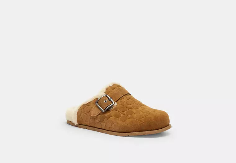 Buckle Clog In Signature