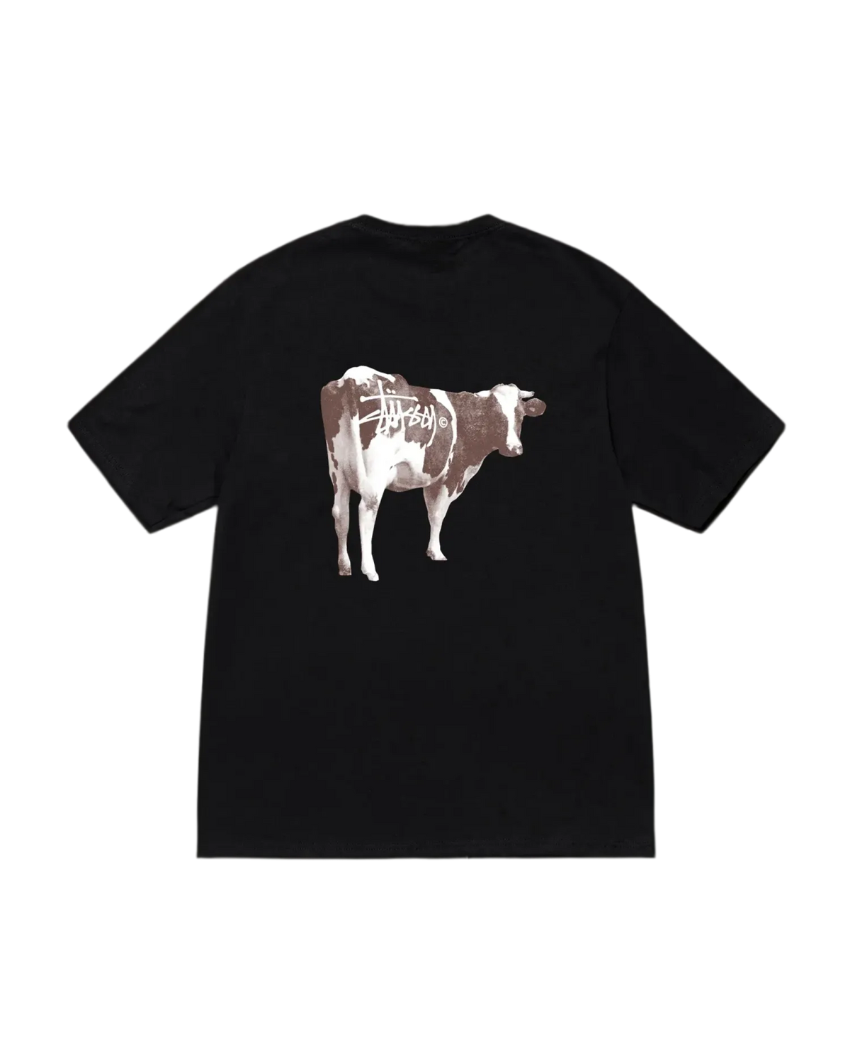 Stussy Grassfed Tee