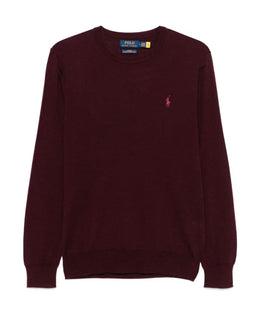 Polo Ralph Lauren Stylish Sweaters Collection
