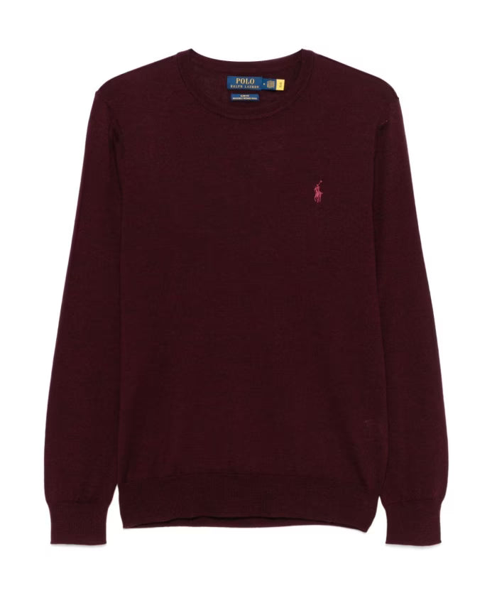 Polo Ralph Lauren Stylish Sweaters Collection
