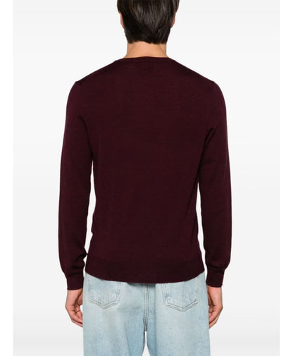 Polo Ralph Lauren Stylish Sweaters Collection