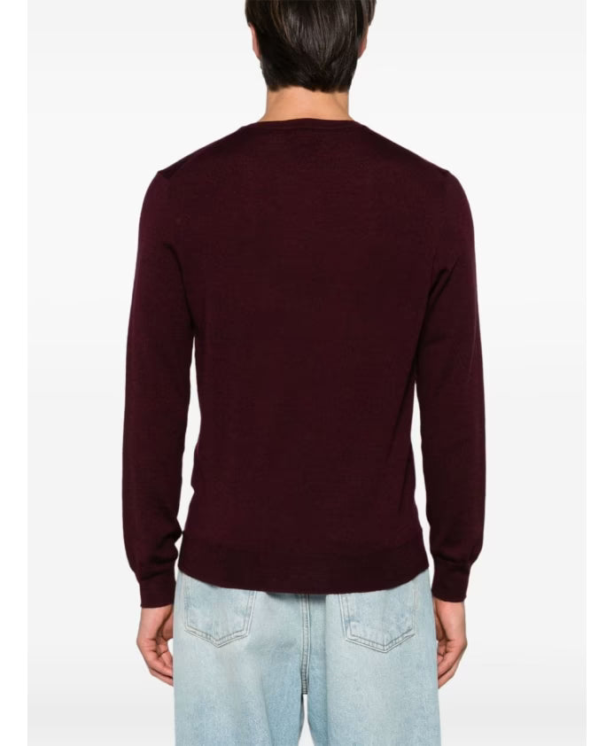 Polo Ralph Lauren Stylish Sweaters Collection