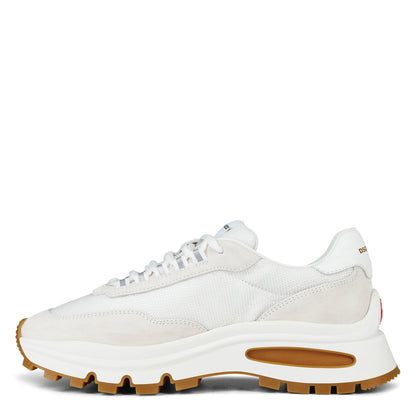 Run Ds2 Trainer