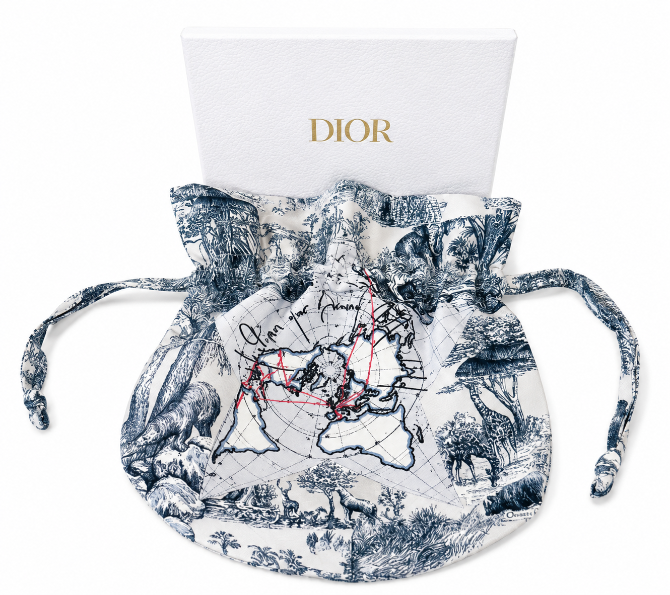 GENUINE Dior Travel Bag VIP Gift Brand New Beautiful Print