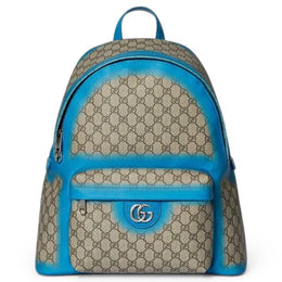 Gucci Ophidia leather bag