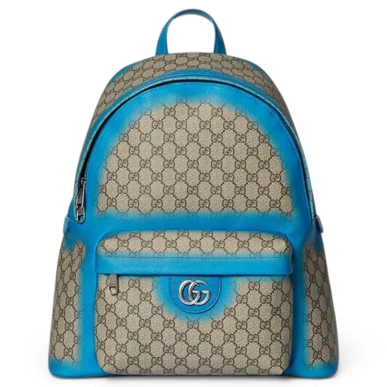 Gucci Ophidia leather bag