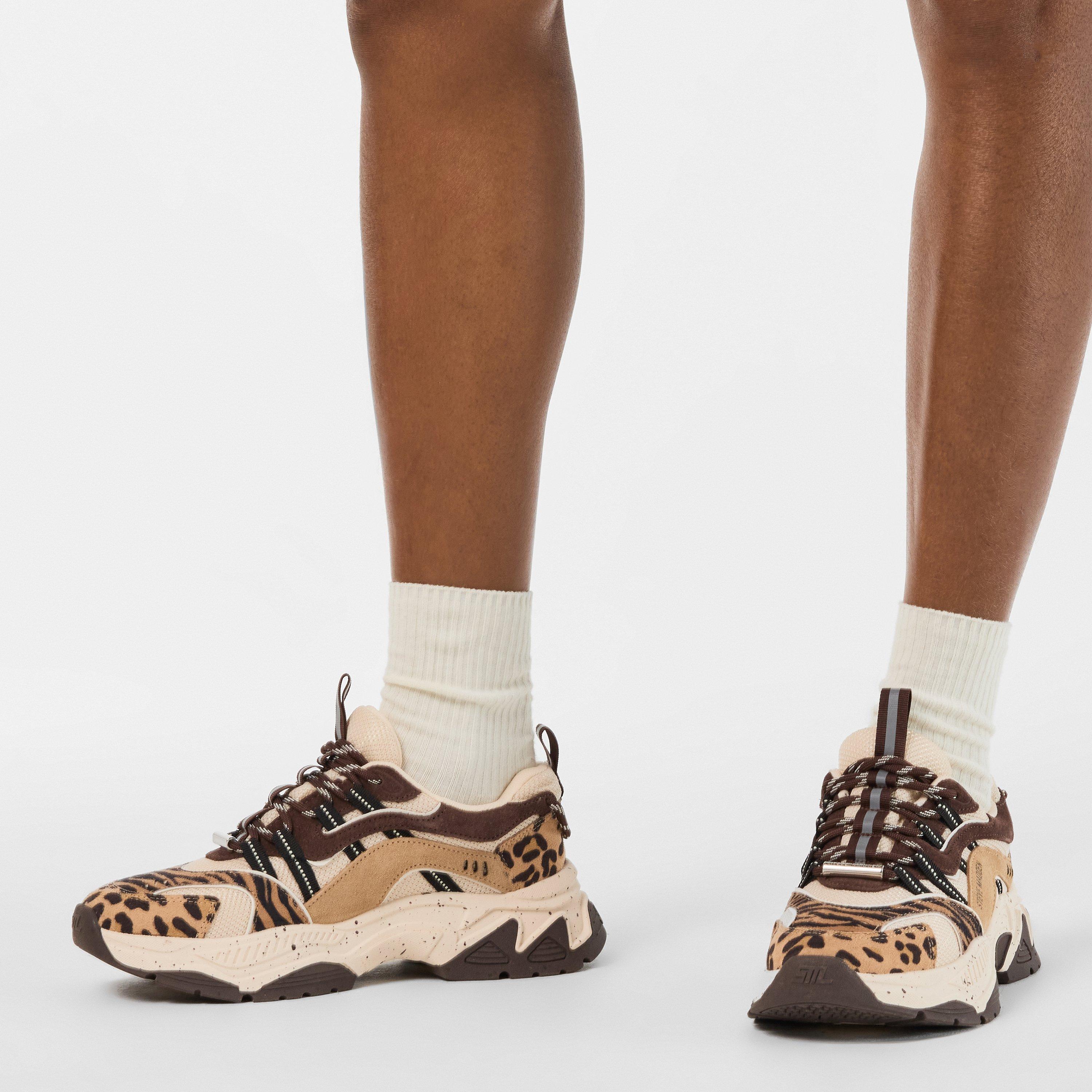 Animates-LE Trainers