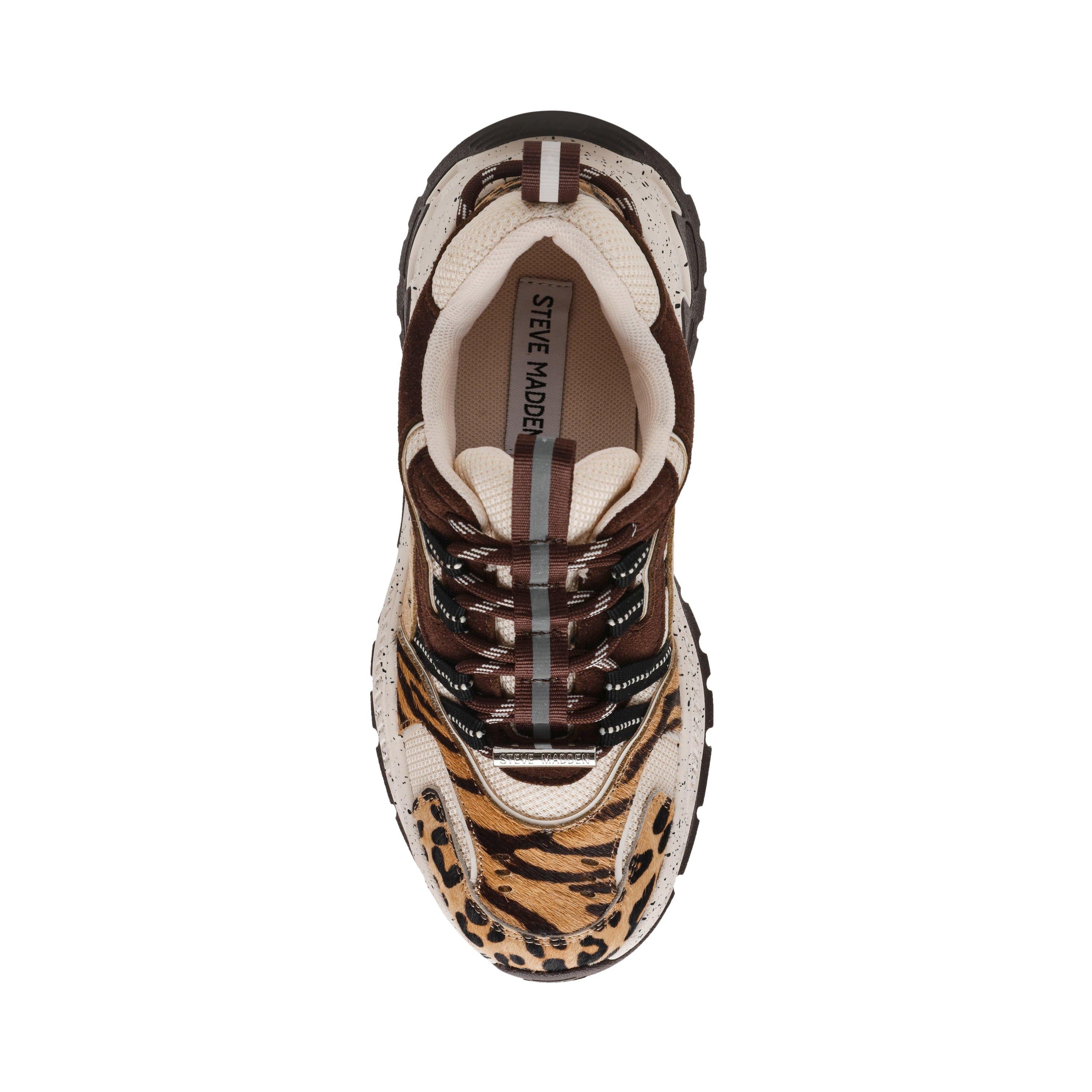 Animates-LE Trainers