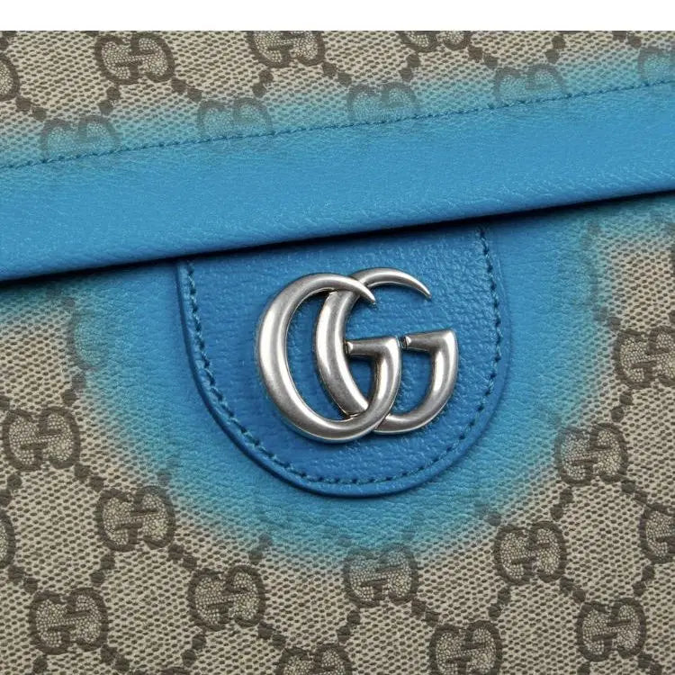 Gucci Ophidia leather bag