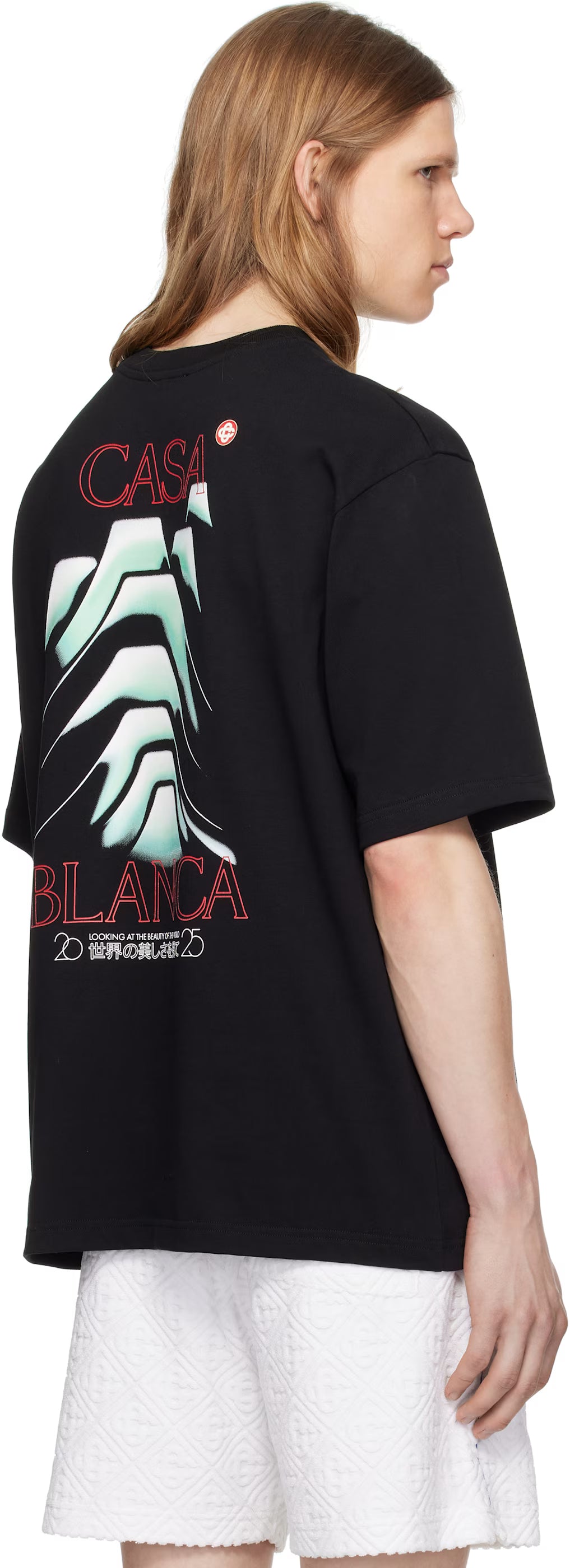 Black Frosty Mountain T-shirt