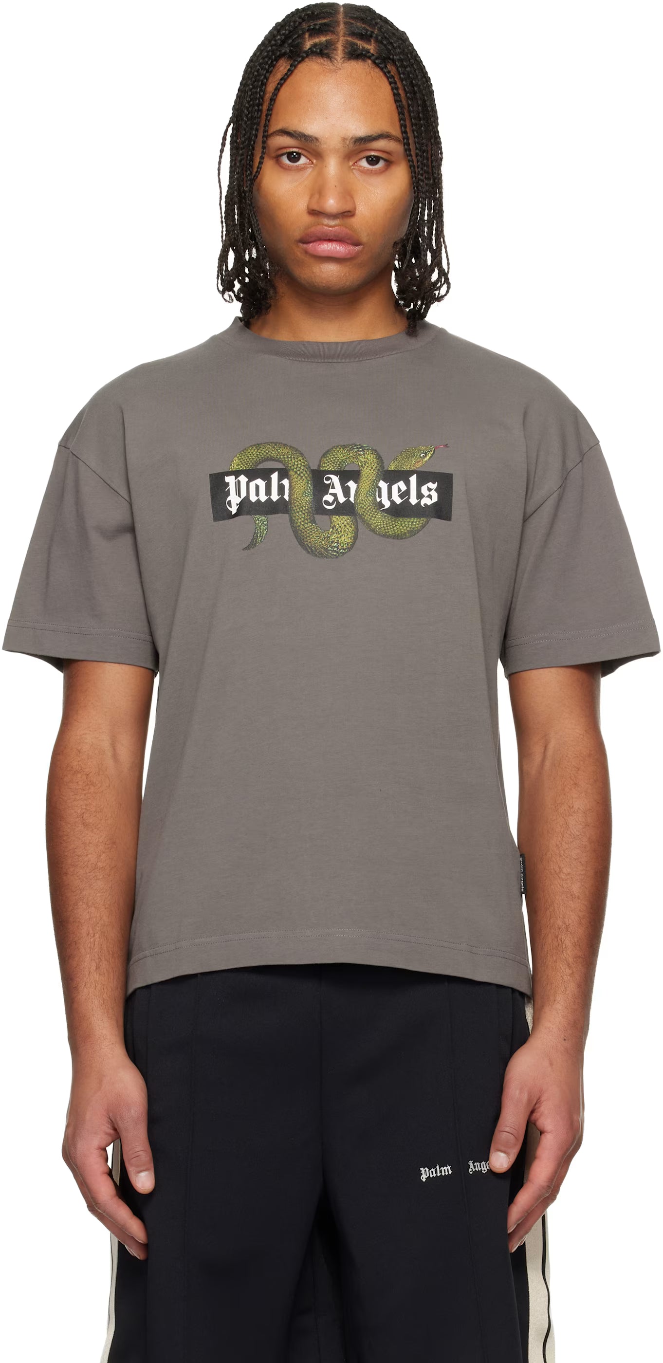 Gray Snake Box Logo Regular T-shirt