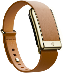5.0 LeatherLuxe Tapered Band | Camel with Gold