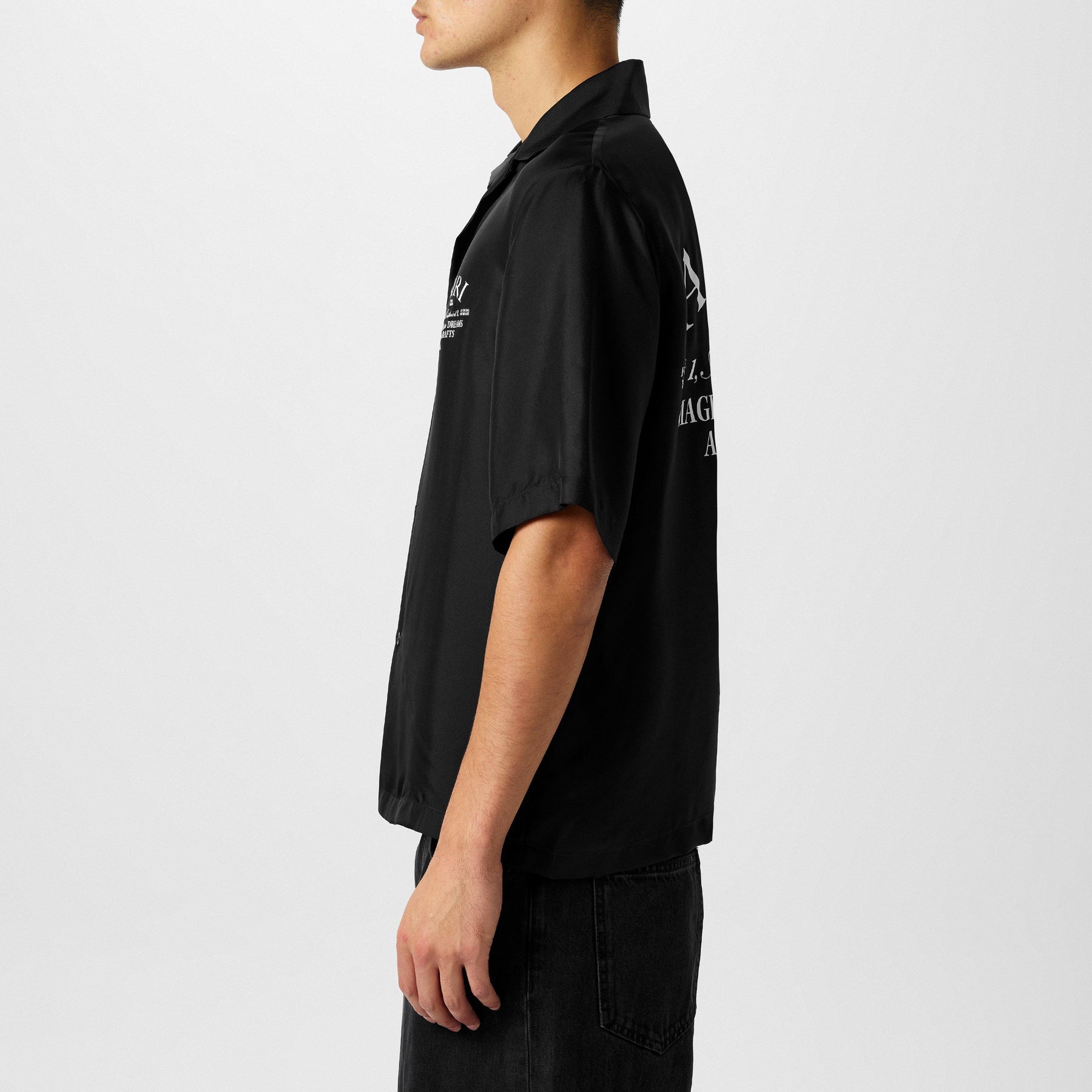Silk Art District Shirt