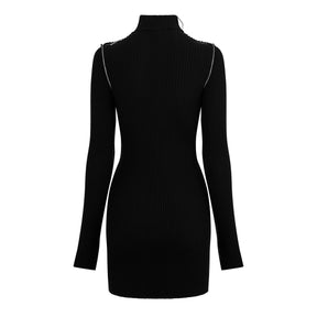 Turtleneck Mini Dress