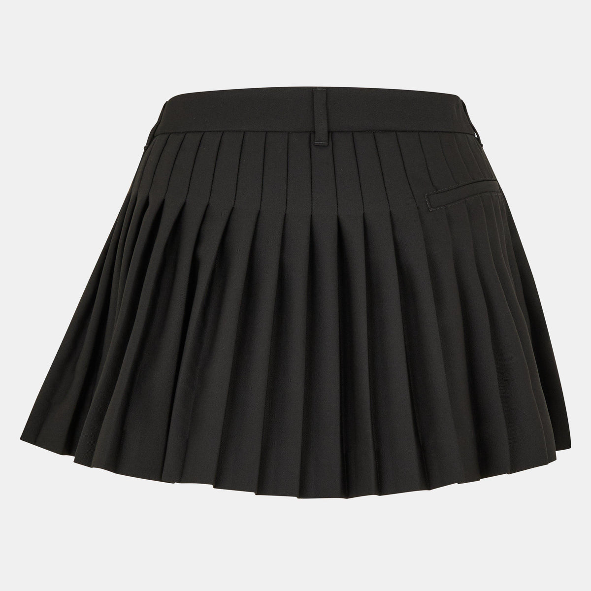 Pleated Skirt