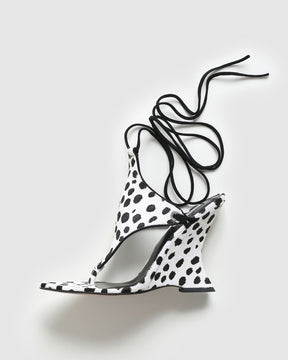 Rampage Dalmation Pony