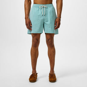 Traveler Striped Swim Shorts