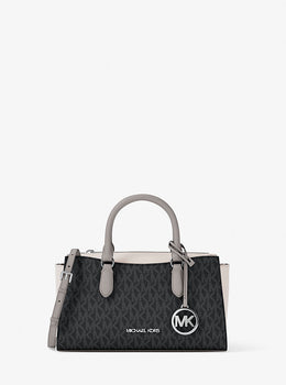 Arden Small Color-Block Signature Logo Messenger Bag
