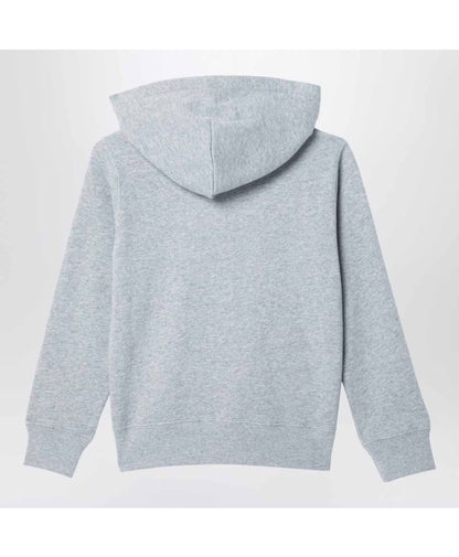 Polo Ralph Lauren Felpa con cappuccio