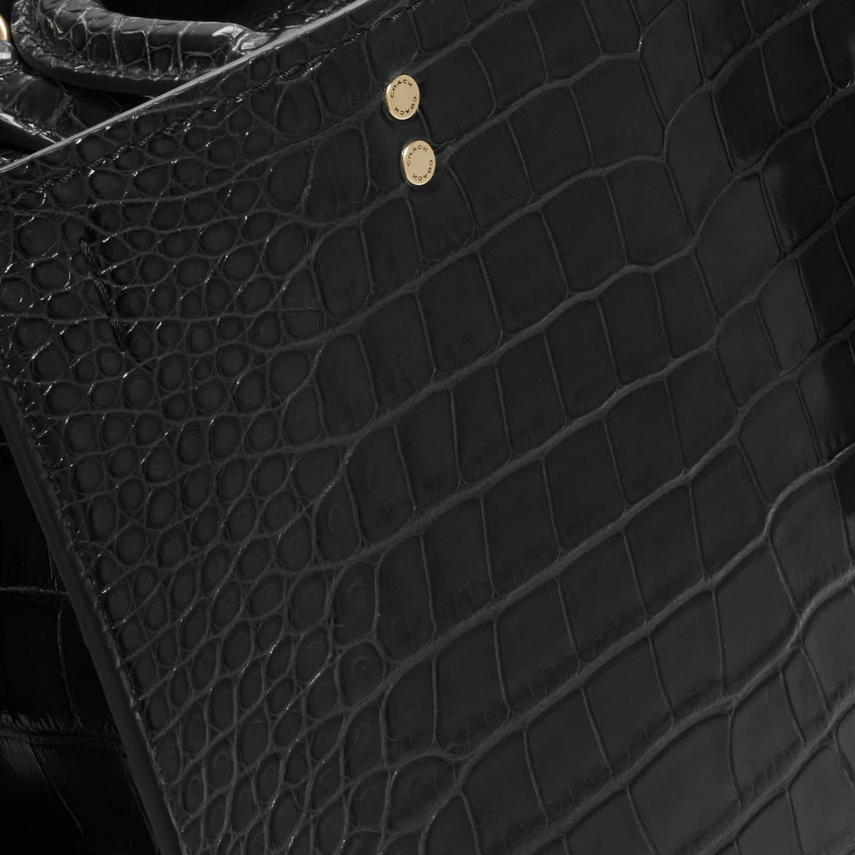 Rogue Bag In Alligator