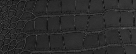 Rogue Bag In Alligator