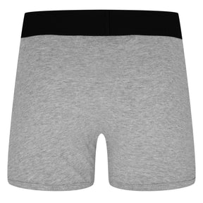 Tripack Boxer Briefs