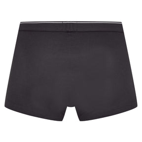 2 Pack Logo Waistband Trunks