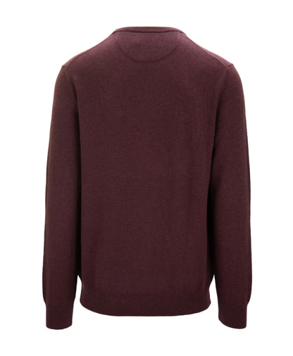Ralph Lauren Men's Pullover Sweater