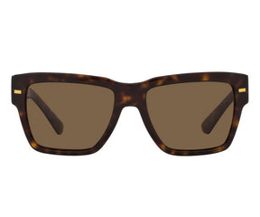 Dolce & Gabbana 4431 502/73 55