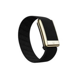 Whoop 5.0 Superknit Luxe Obsidian with Gold Band (12 Month Peak Subscription Included)