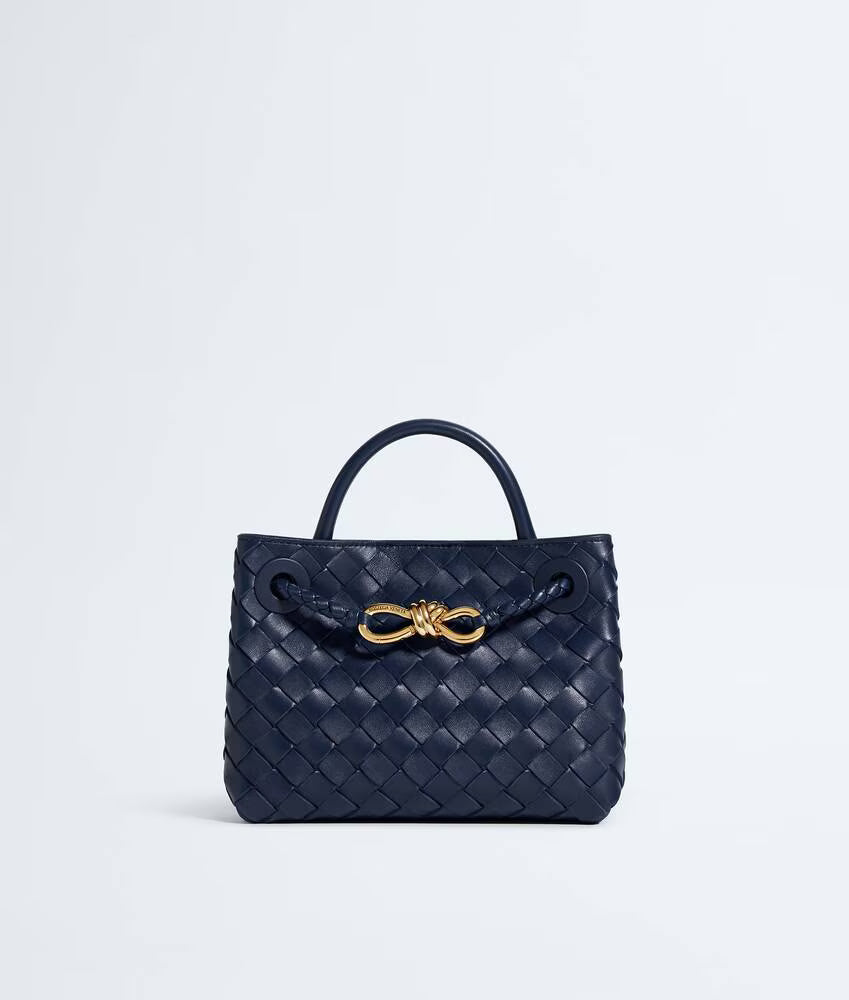 Bottega Veneta Mini Andiamo