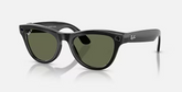 Rayban Sunglasses