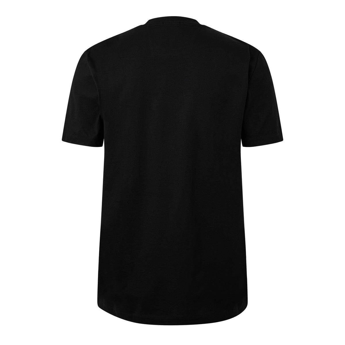 Men's HBB P-Thomp 206 Regular Fit T-Shirt