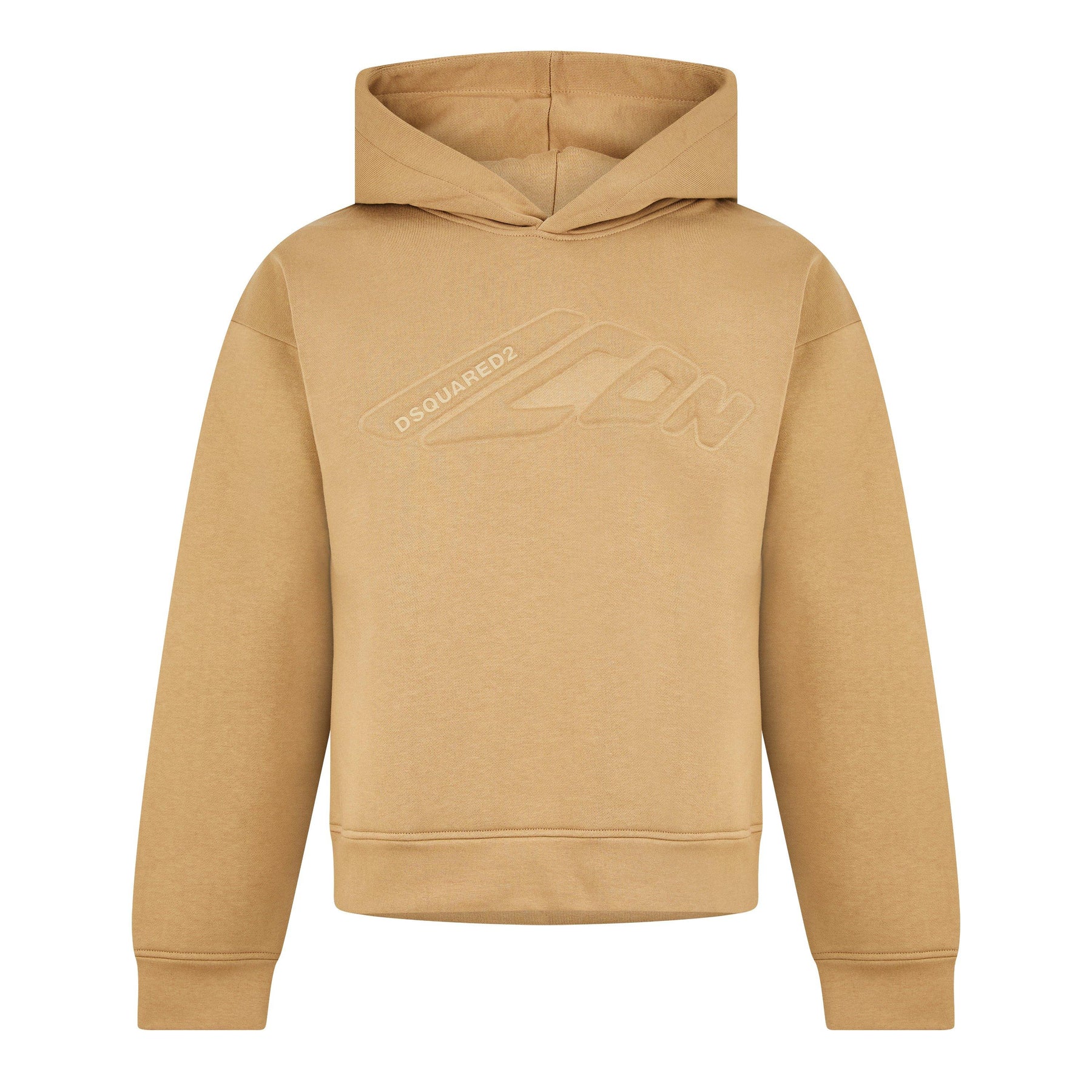 Neo Icon Hoodie