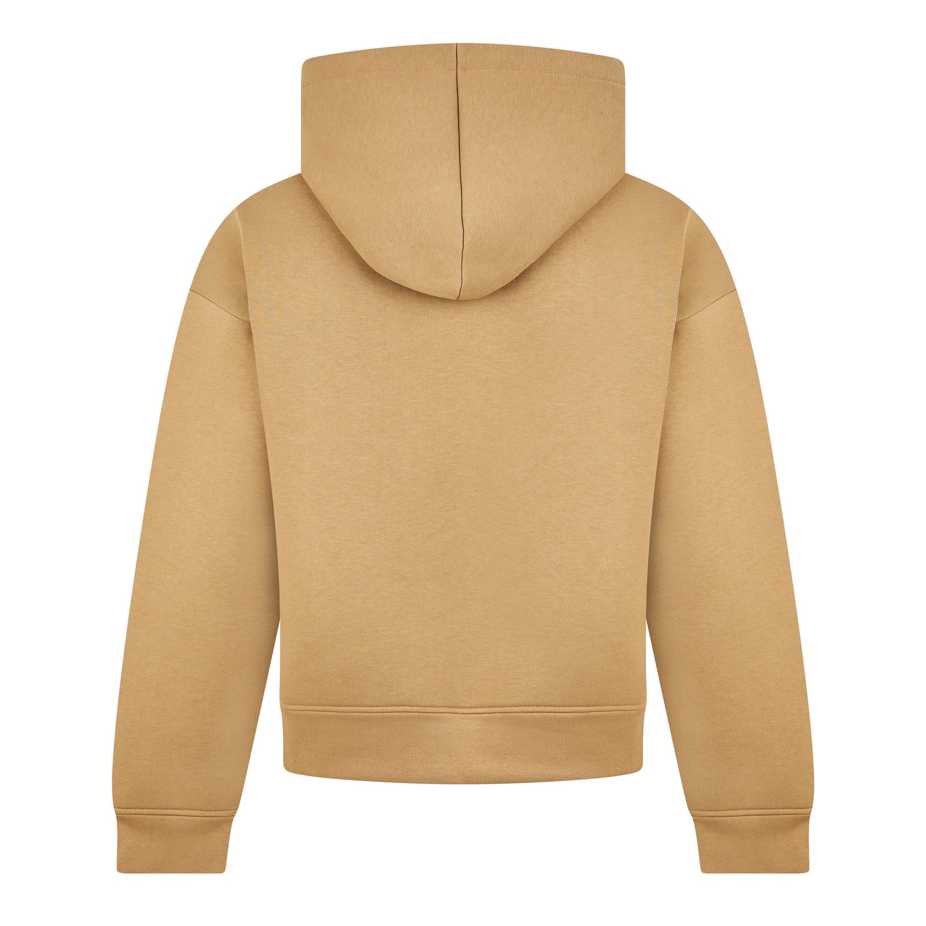 Neo Icon Hoodie