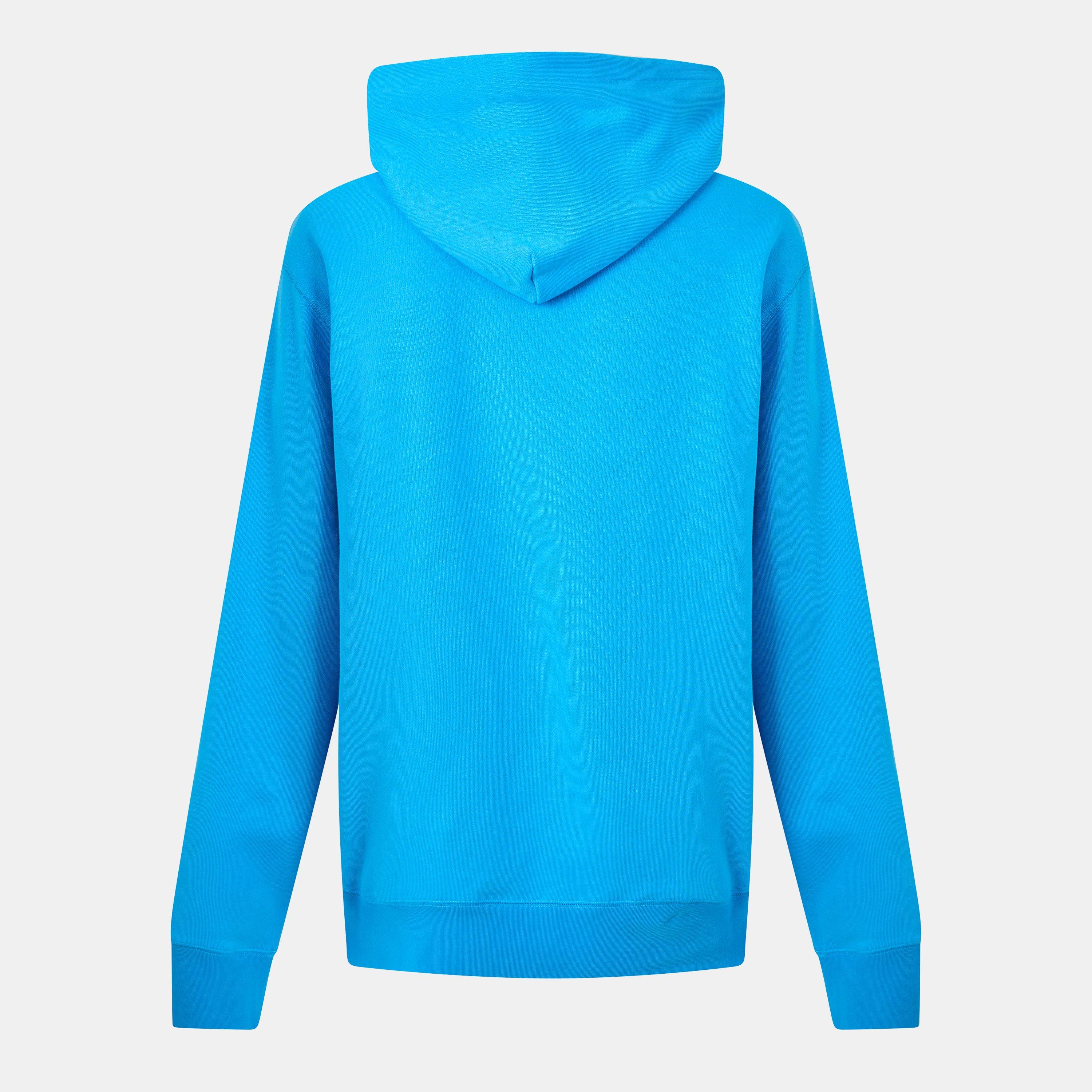 Small Arch Logo Oth Hoodie