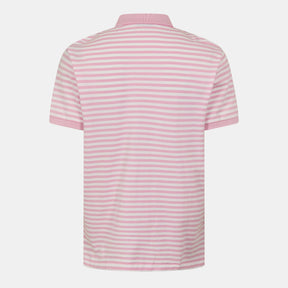 Oxford Mesh Polo Shirt