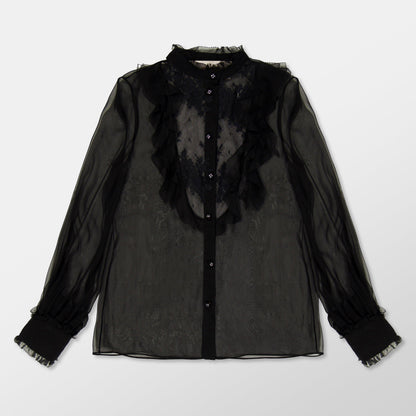 Sheer Chiffon Blouse
