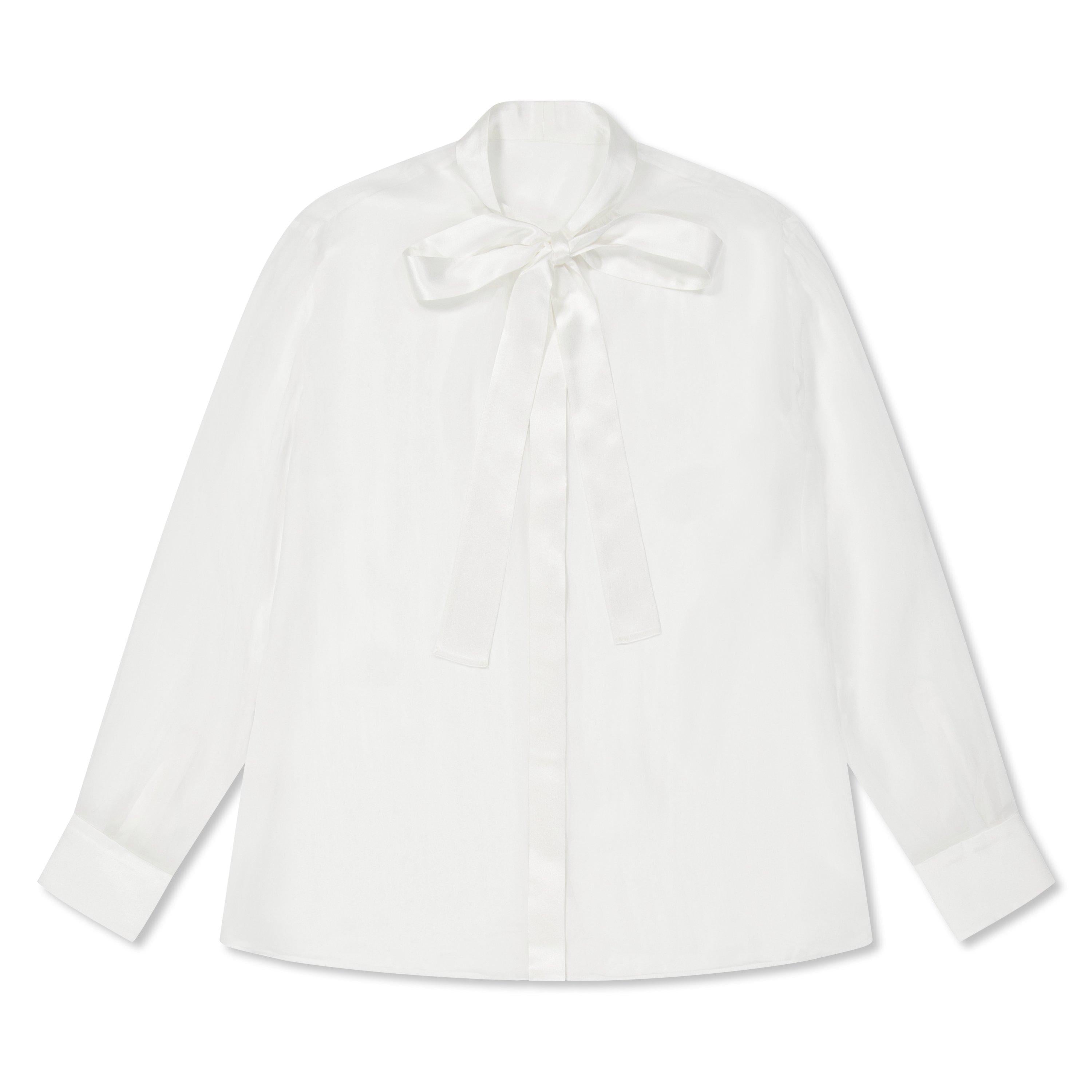 Sheer Bow Blouse
