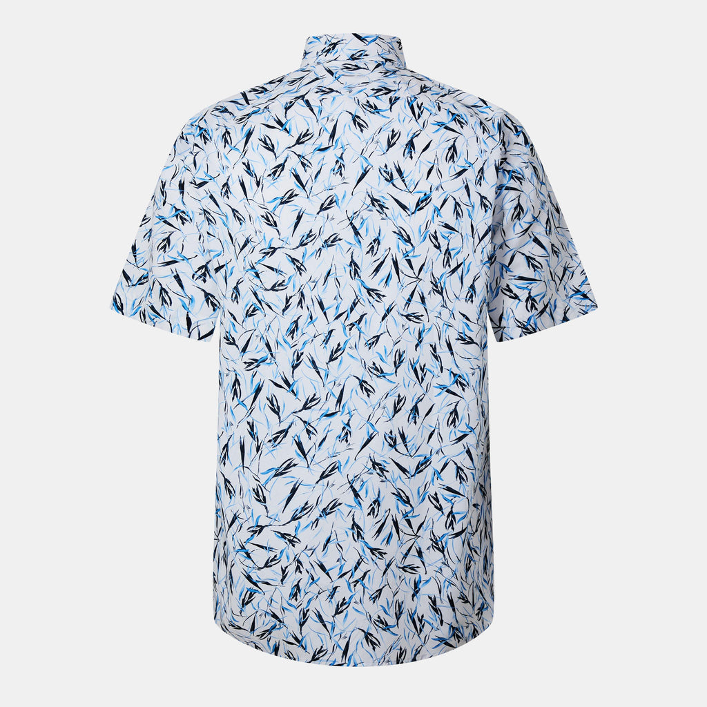 H-JOE-kent-SH-C1-242 10270667