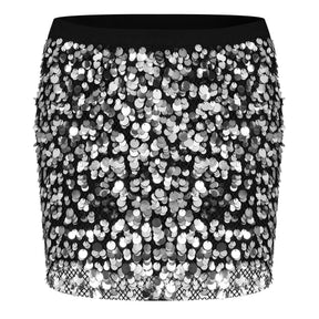 Sequin Embroidered Mini Skirt