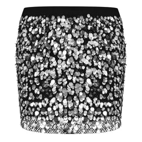 Sequin Embroidered Mini Skirt