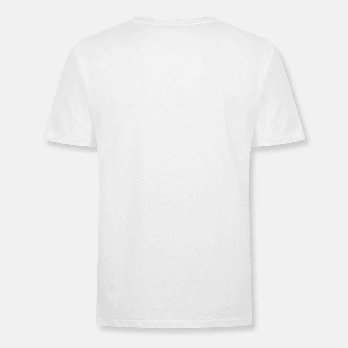 Polo HRTG Bear T Sn05