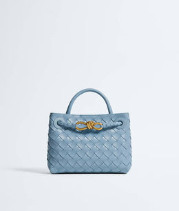 Bottega Veneta Mini Andiamo